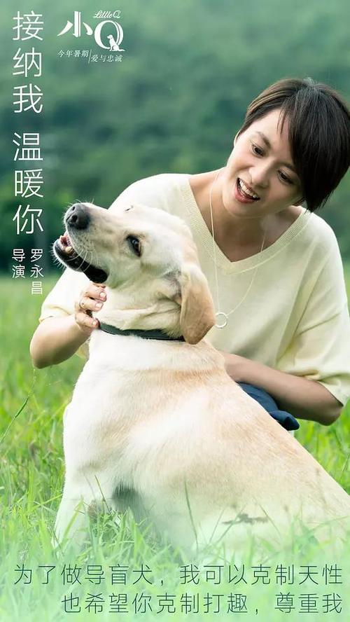 波恩储蓄银行财团学院本科学位证